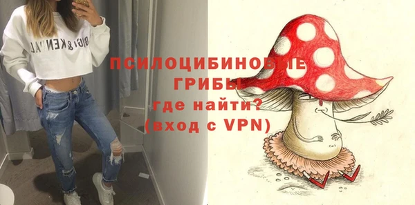 шишки Арсеньев