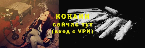 шишки Арсеньев