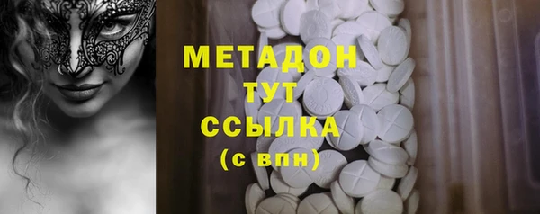 шишки Арсеньев