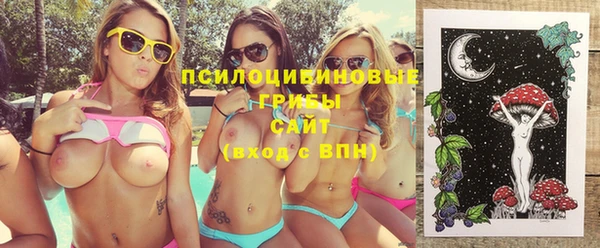 шишки Арсеньев