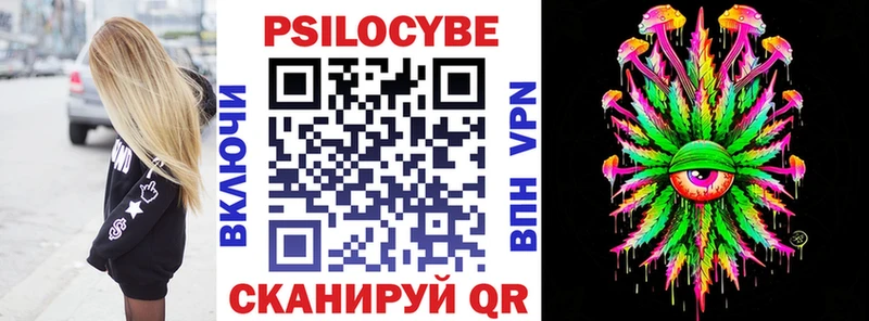 darknet какой сайт Полесск Псилоцибиновые грибы Magic Shrooms где купить наркоту
